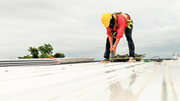 Best Sheet Metal Roofing  in Medina, OH